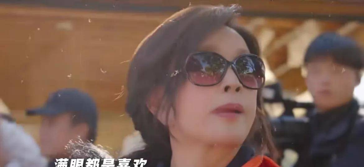 娱乐圈纷争：向太倪萍李小冉事件的深度剖析 娱乐圈风波：向太、倪萍、李小冉事件全解析