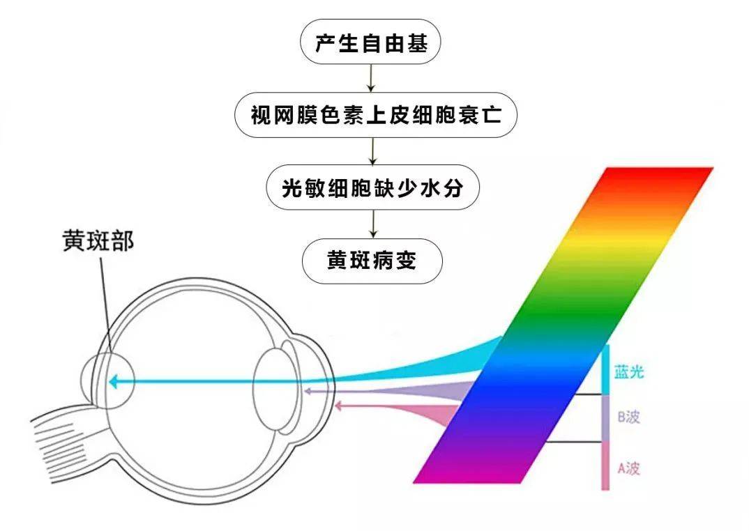 你还在睡着后的宝宝旁边玩手机吗？这3种危害你知道吗