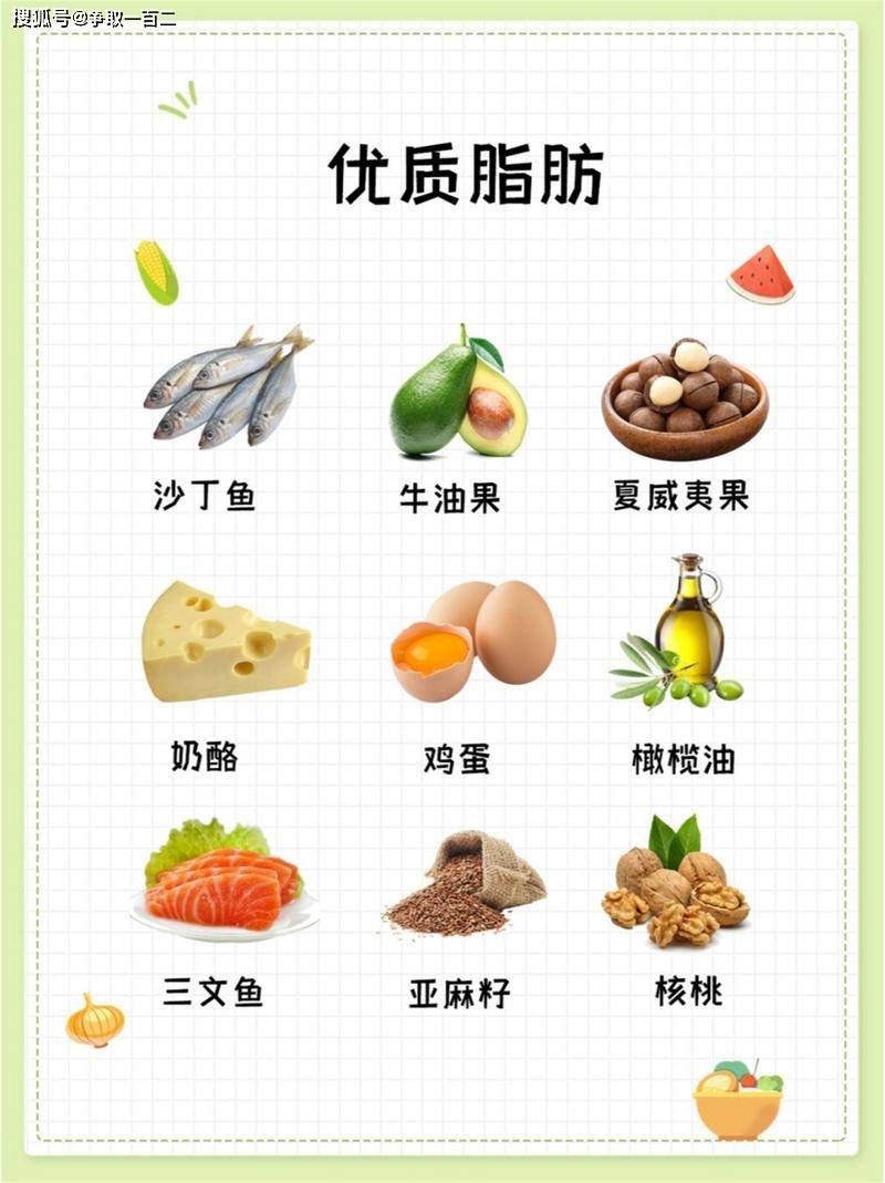 脂肪,是人体不可或缺的营养素!