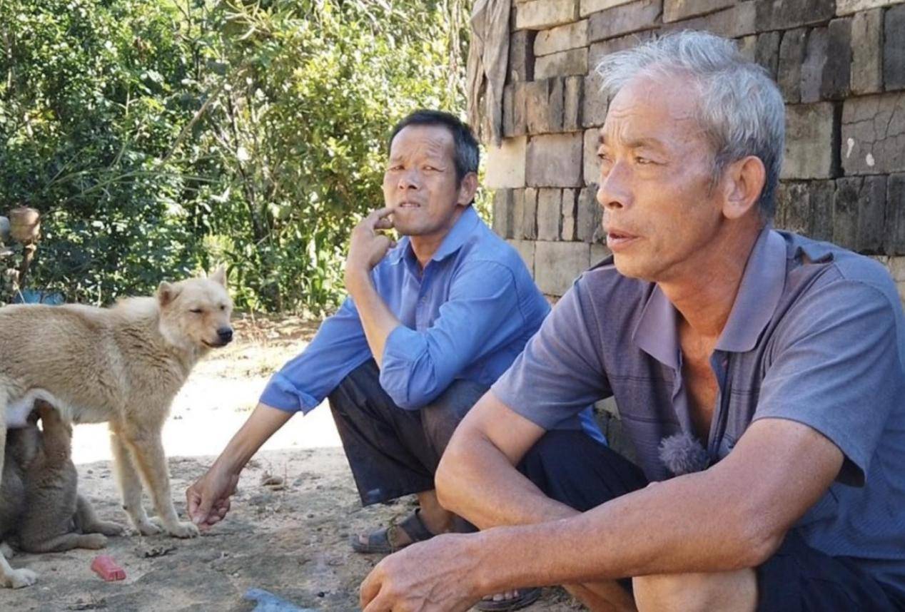 王伯伯的乡下生活
