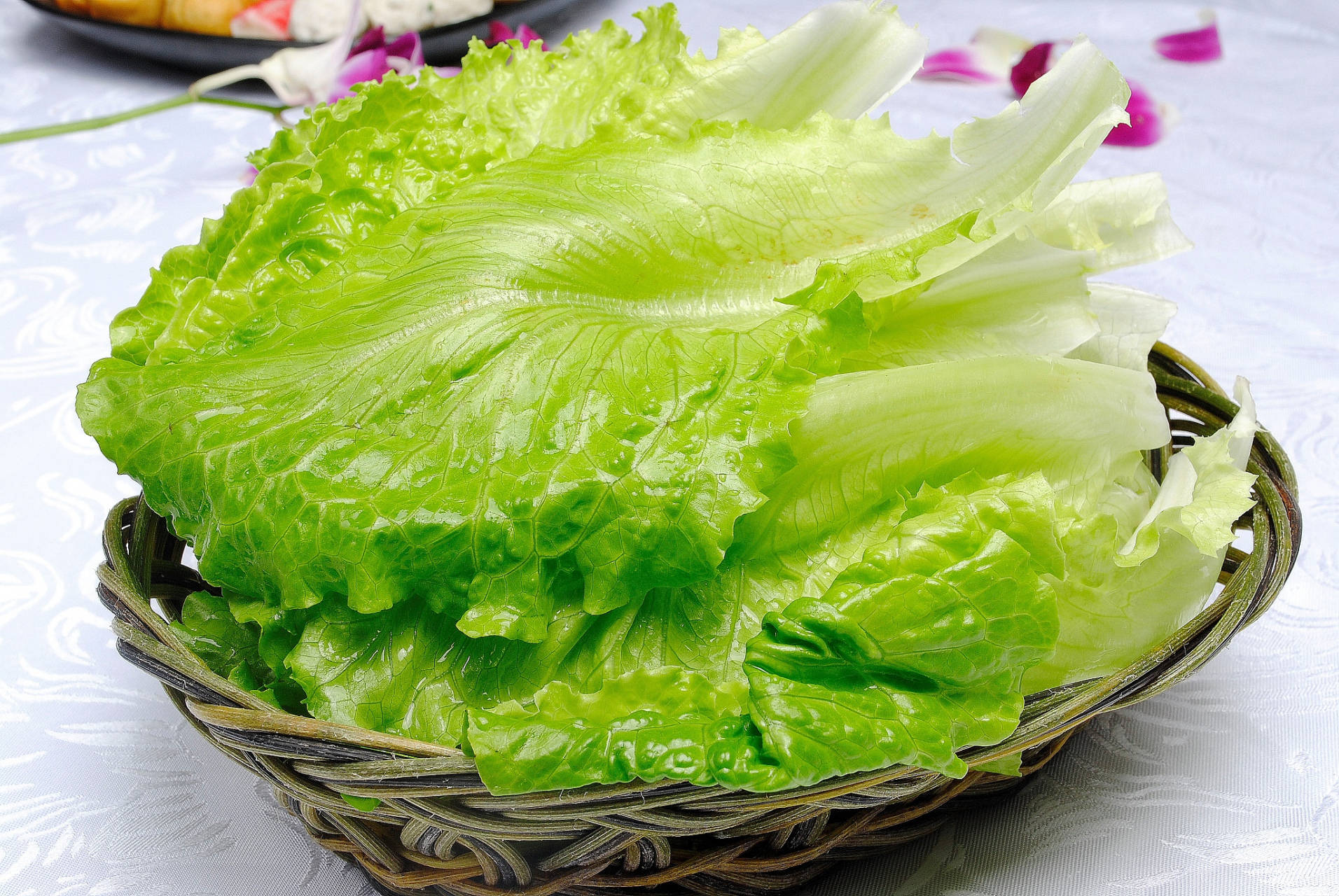 生菜四季种不再是梦?看农业技术如何突破传统,解锁全年新鲜供应密码