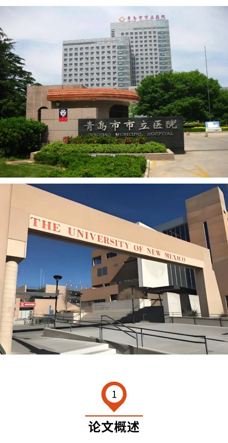 不同患者肺部ct图像高度相似,青岛市市立医院3区论文引关注