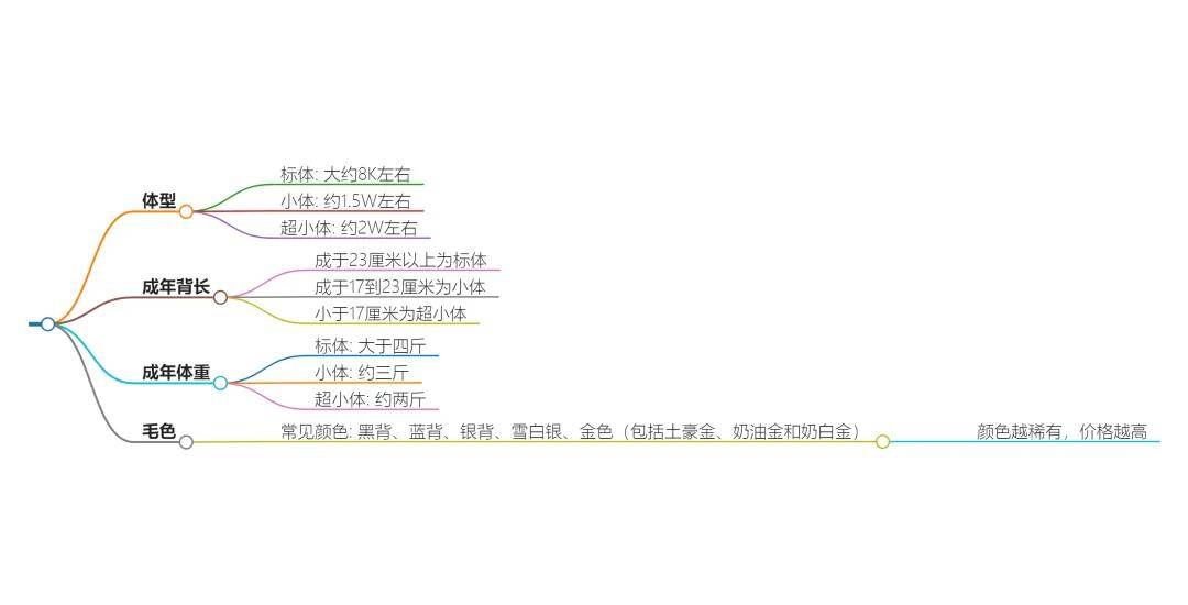 想养一只犬中贵族“约克夏”，约克夏价格多少钱一只？（约克夏种狗）
