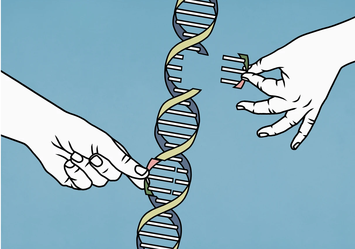 为何改写基因组如此艰难?