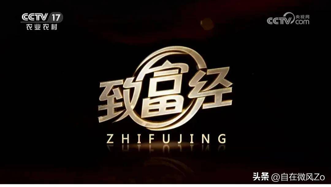致富经2010(致富经2025年最新全部视频)