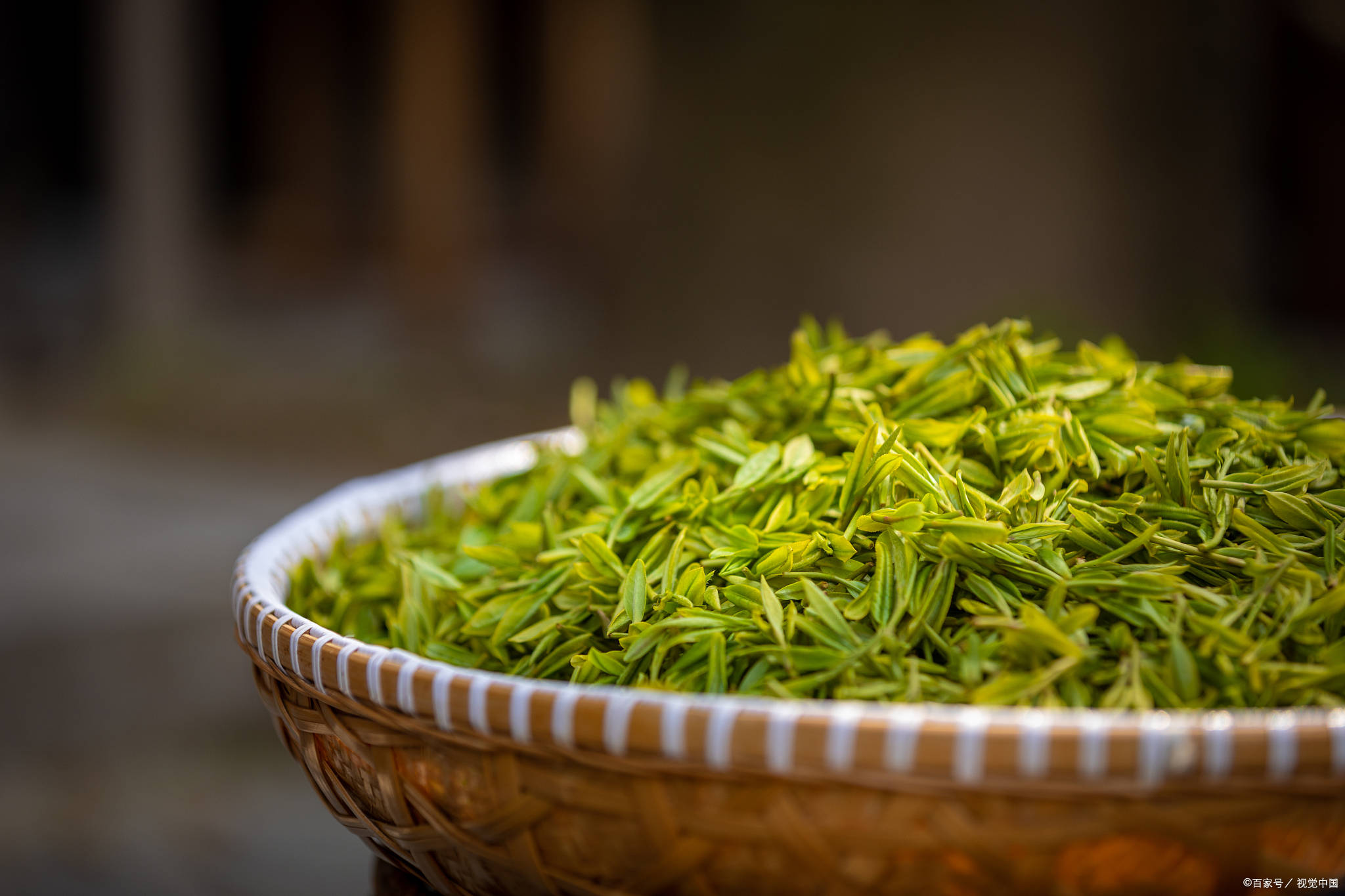 保靖阳朝茶叶（保靖阳朝茶叶店电话）《保靖阳朝乡有几个村》