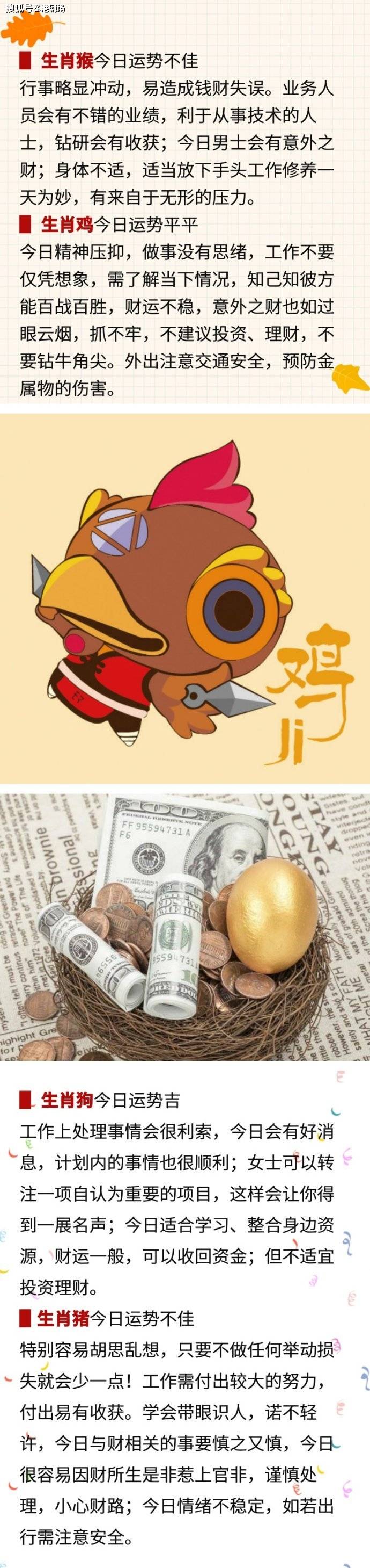 麦玲玲十二生肖今天运势(2021年运程十二生肖运程麦玲玲视频)