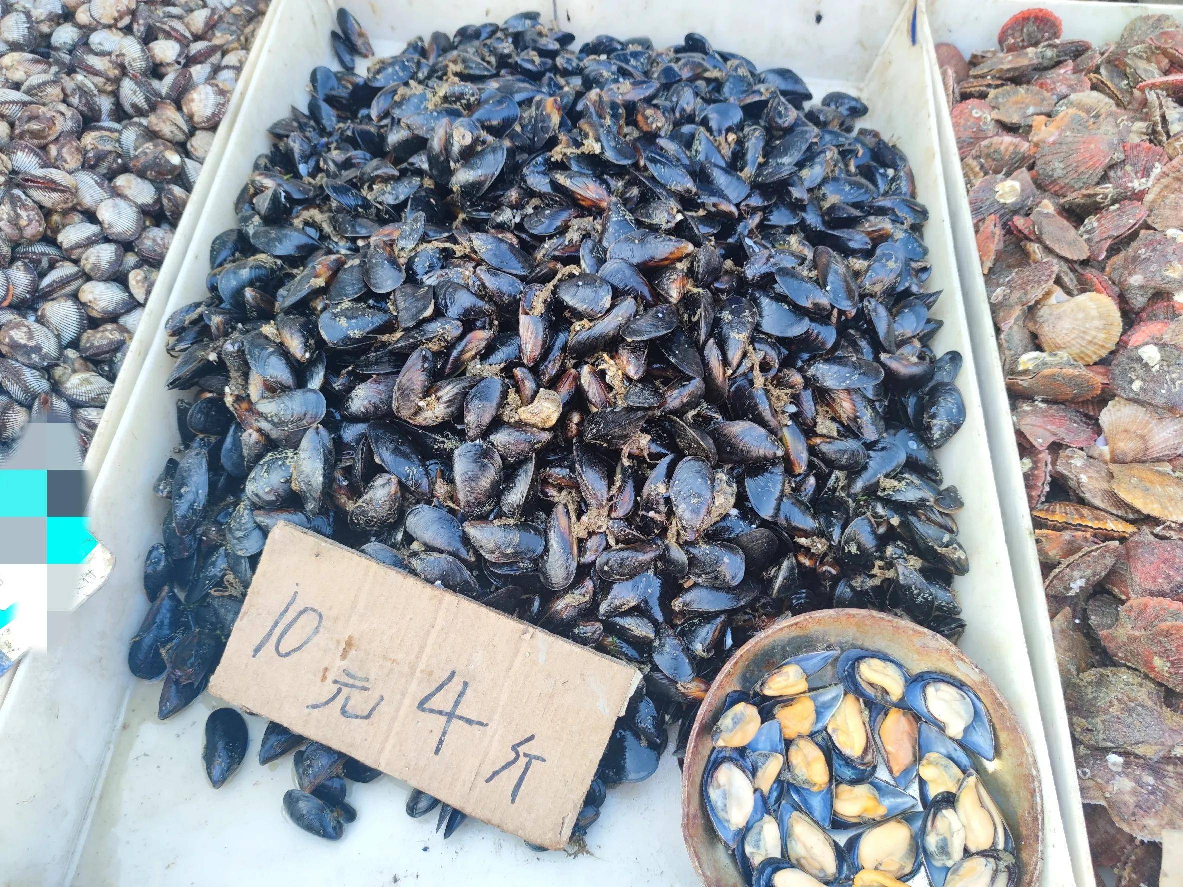 原创2元一斤的海虹为啥食堂饭店都不卖饭店老板4个原因很现实