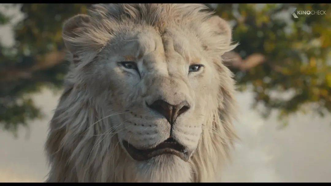 《狮子王:木法沙传奇》影评