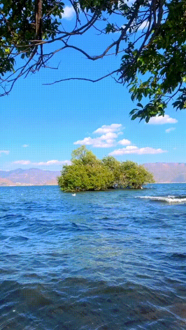 640_1137竖版 竖屏gif 动态图 动图