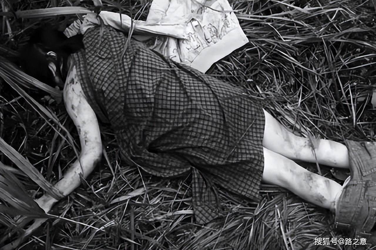 小树林里的女裸尸,1982年平顶山市"7·20"无名女尸案侦破始末