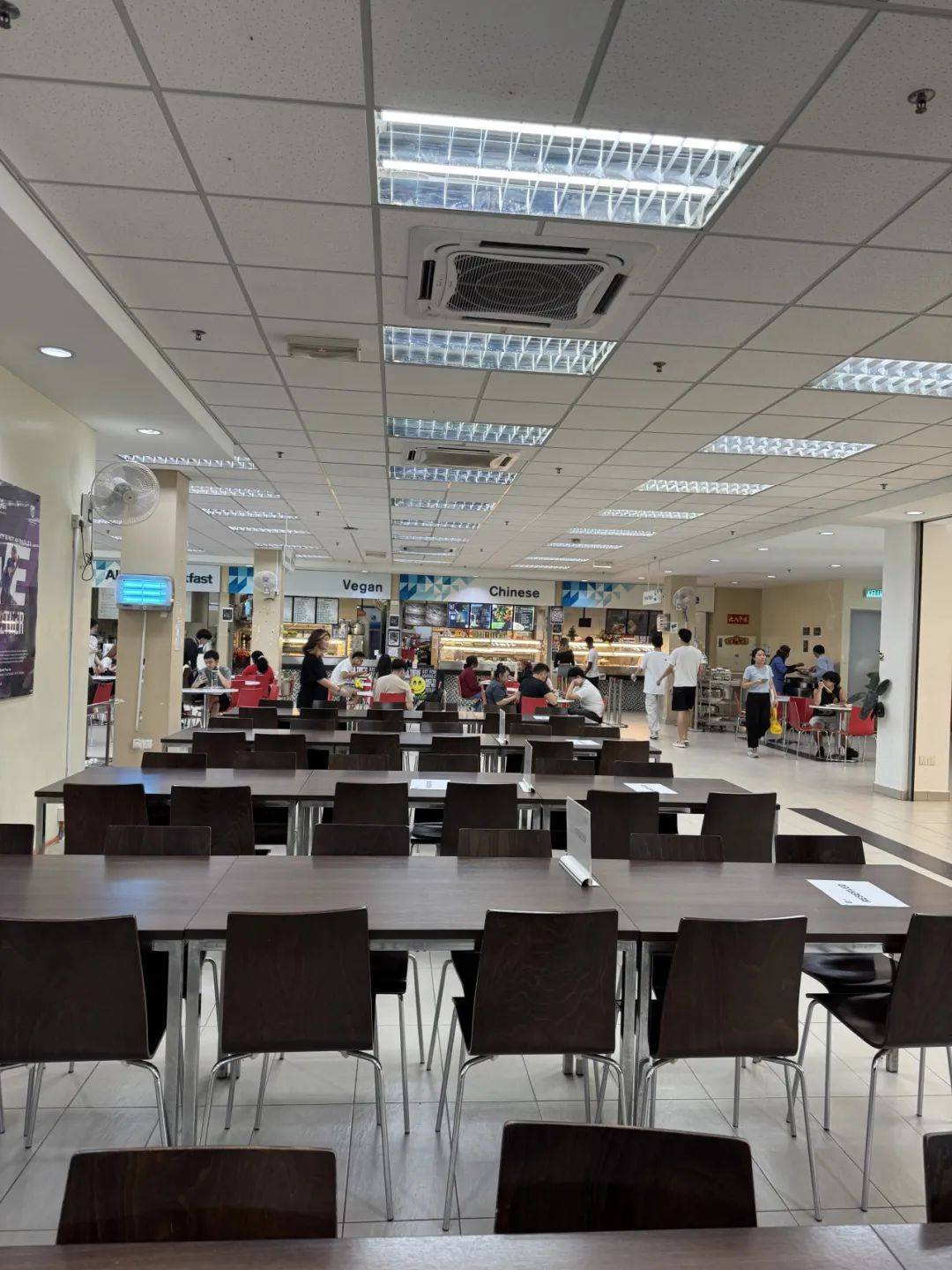 诺丁汉大学马来西亚校区南洋风情与英式优雅的完美邂逅
