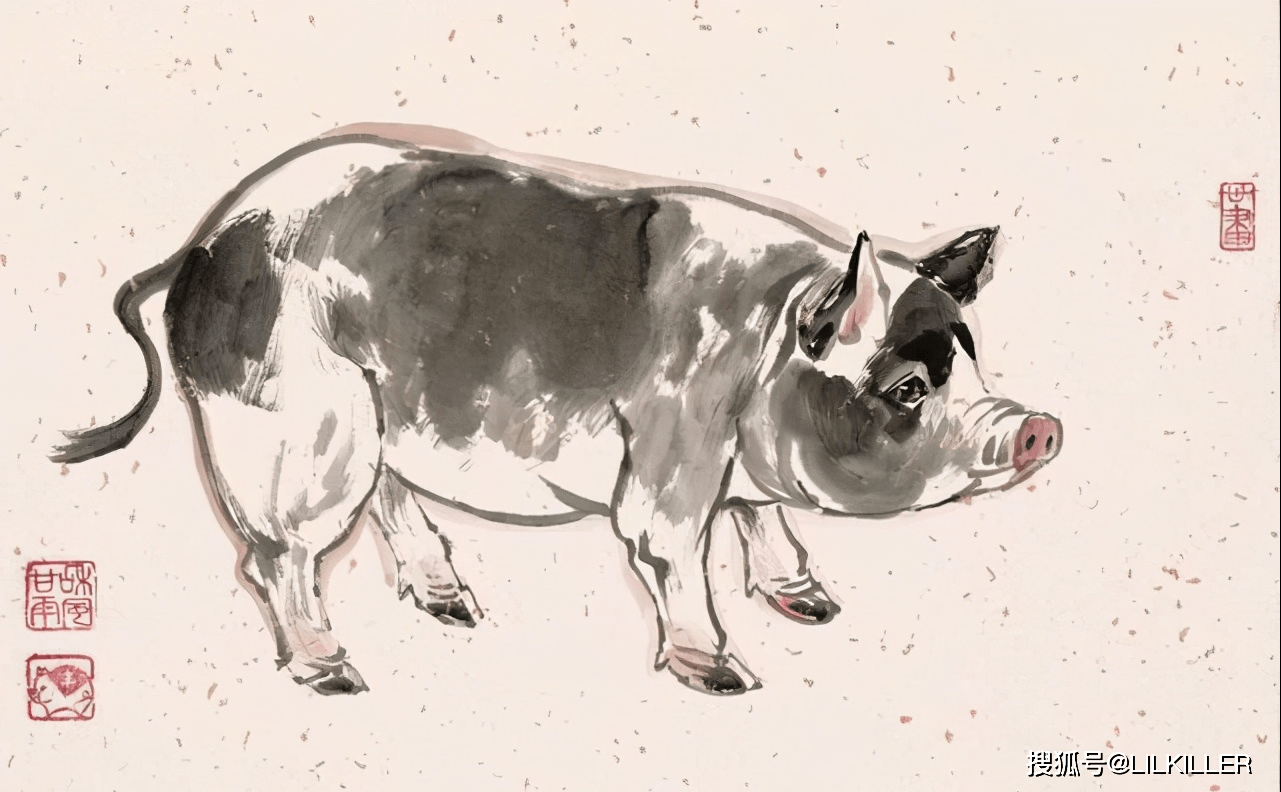 属猪2025生肖运势运程(2025年生肖猪)