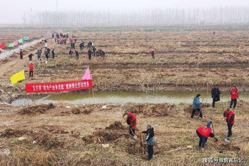 宝应湖农场:春风催新绿 植树正当时