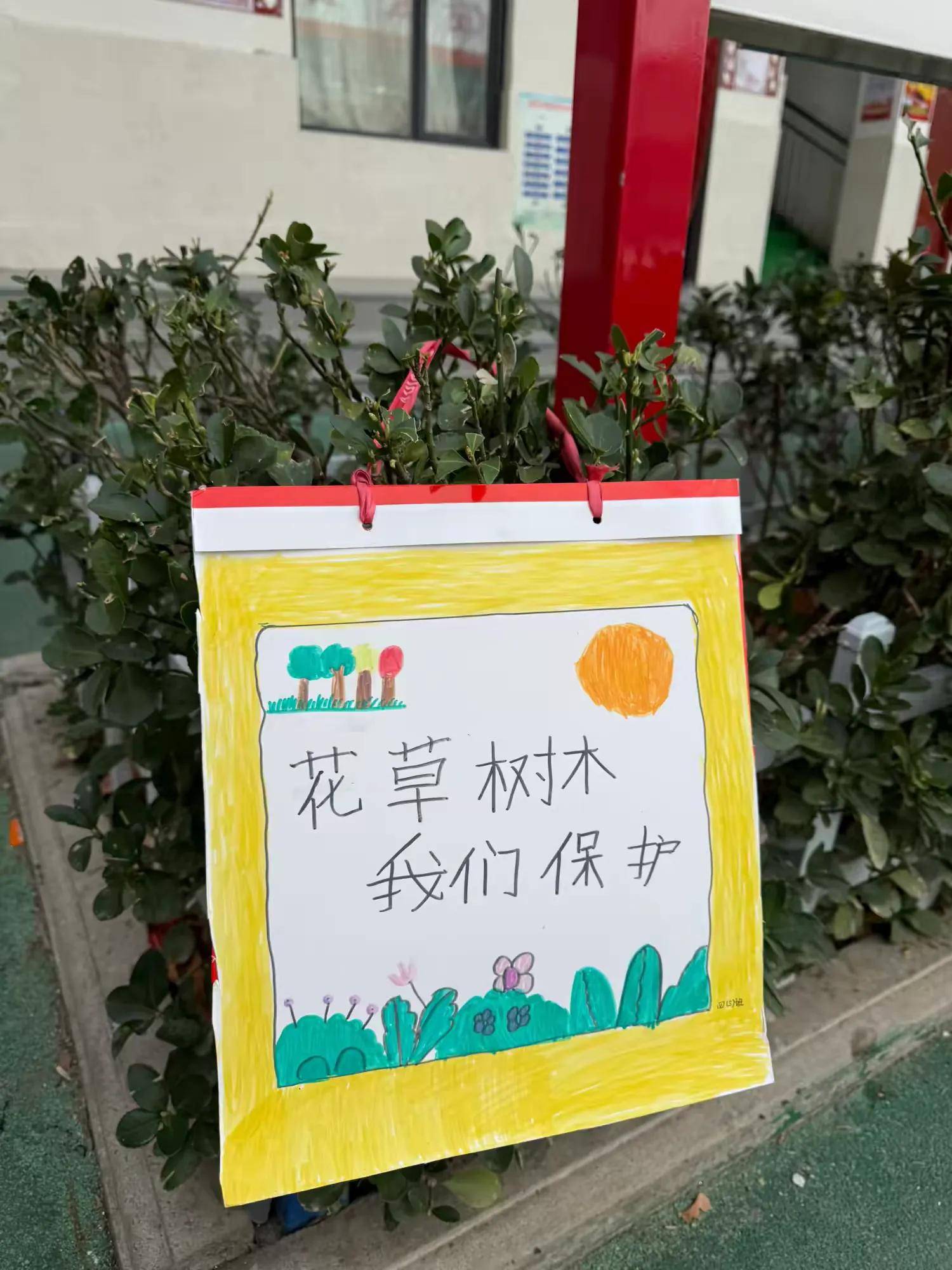 爱绿护绿,争当环保小卫士