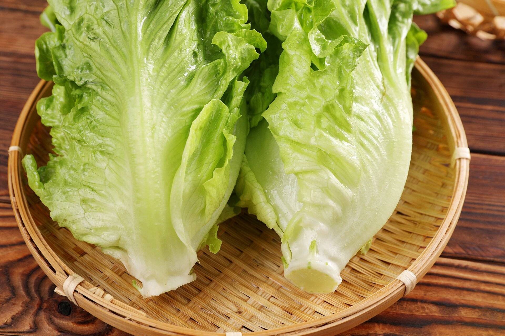 3 月种生菜全攻略:从品种挑选到田间管理,一步都不能错!