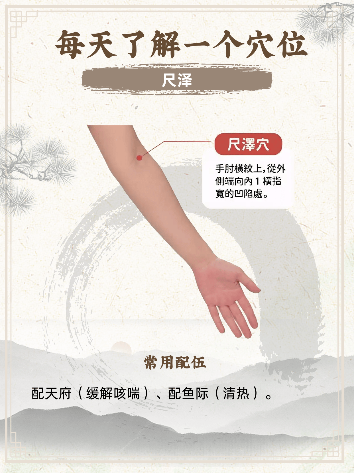 尺泽穴:手太阴肺经上的"呼吸守护者",缓解咳嗽与肩臂痛