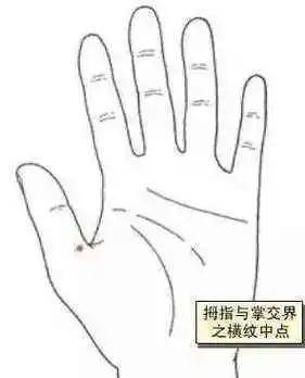 手掌地神的准确位置图