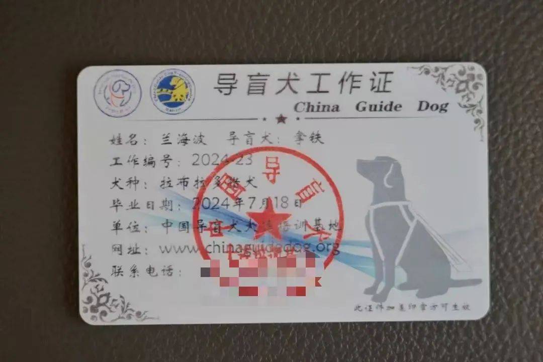 3岁的它是这条铁路线上的明星