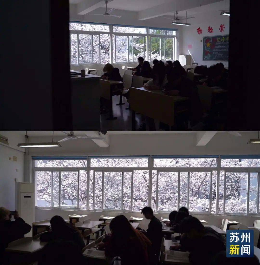 樱花_教室_吴中区