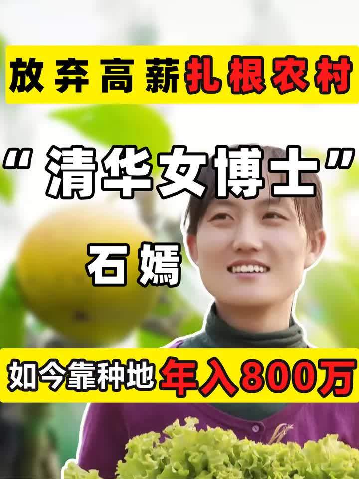 清华女博士石嫣:赤心奉国,扎根农村11年,如今靠种地年收入800万