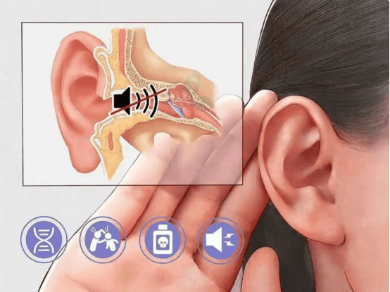 2025开放式耳机哪个品牌好？开放式耳机排行榜热门单品推荐