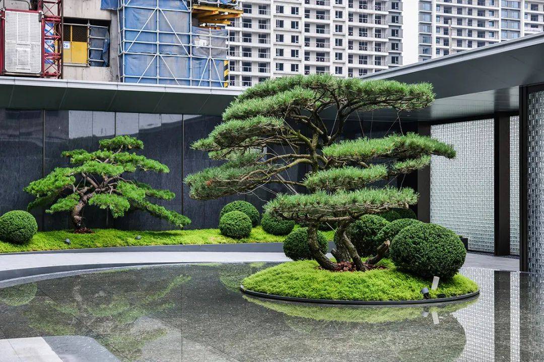 嘉兴房产网：解读城市发展的脉搏