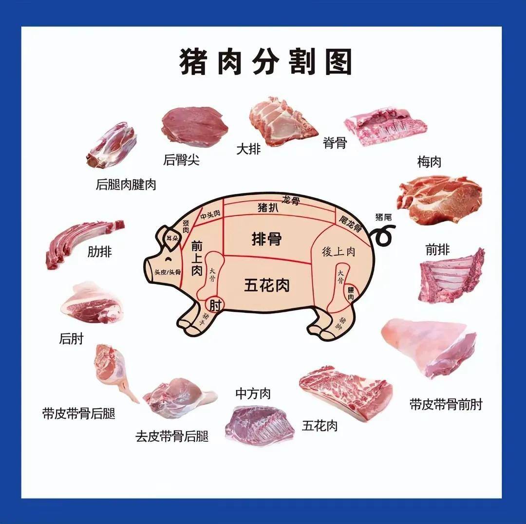 部位_淋巴结_消费者