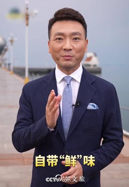 新闻联播员康辉(康辉播音新闻联播视频)