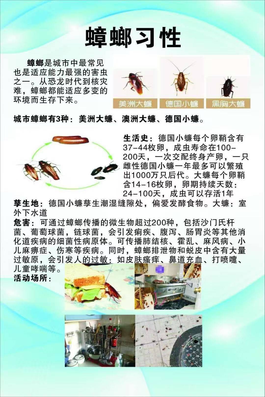 苏州杀虫公司的现状与展望