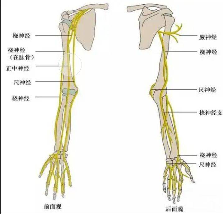 "我等了3个月,手还是抬不起来"
