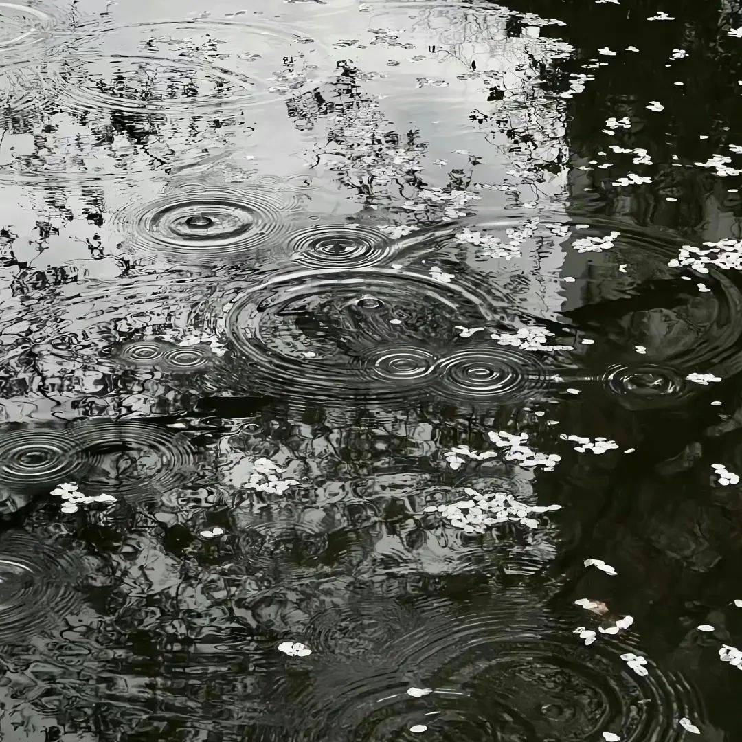 极具氛围感的雨天头像