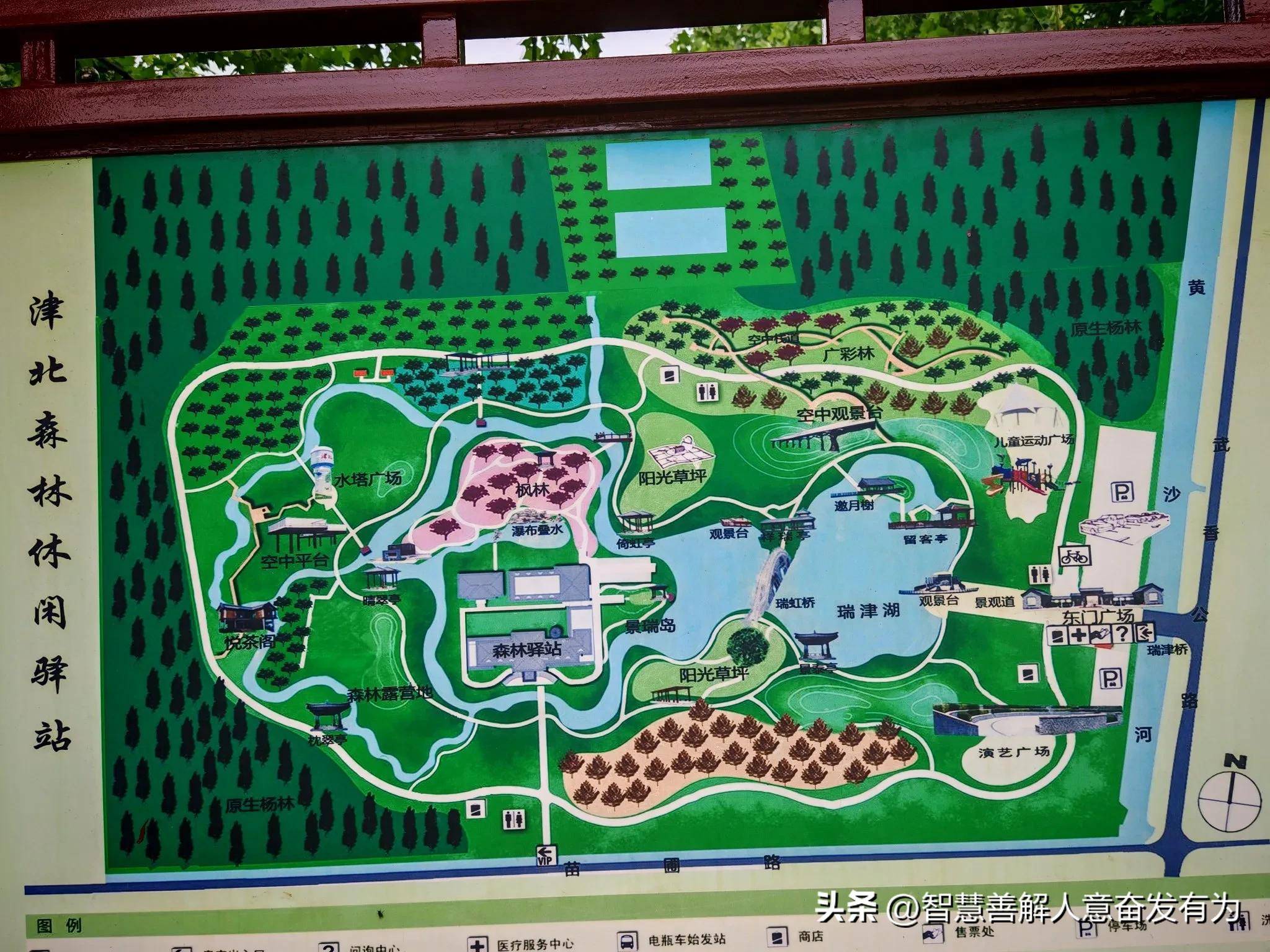 许多游客可能会关注门票问题,而津北森林公园恰恰是一个令人惊喜的