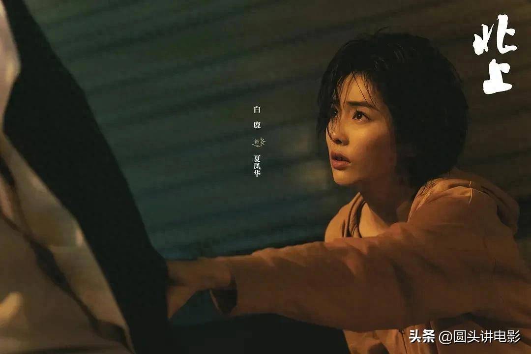 2025短剧排行