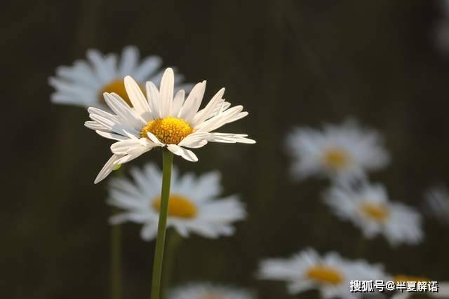 我花100万给女儿全款买房，亲家抢着来住，几天后落荒而逃，直呼再也不来