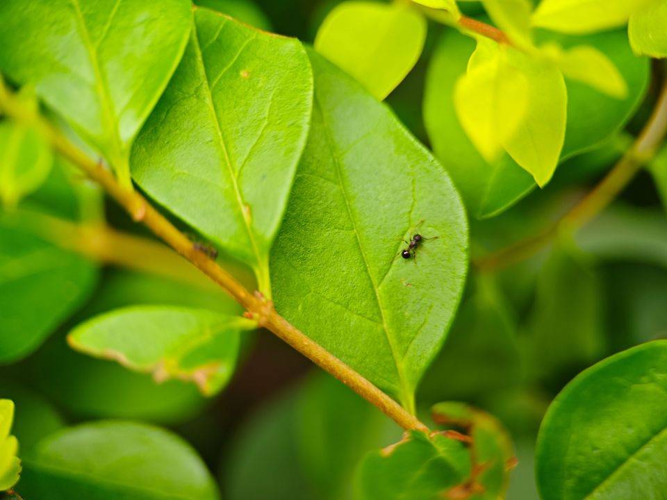 618值得入手的四款性价比好物分享，喜欢可以直接抄作业！