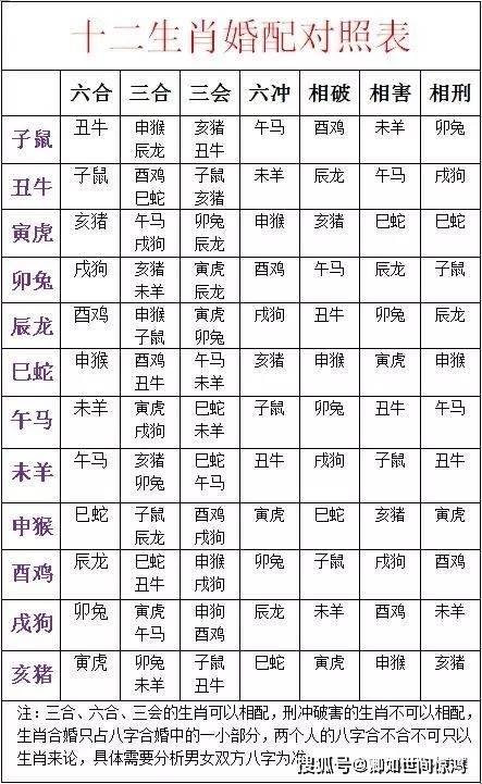 各生肖的姻缘运势图表大全(生肖 姻缘)