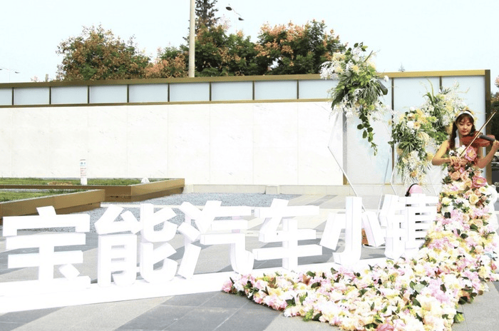 _观致宝能品牌历史_观致宝能收购
