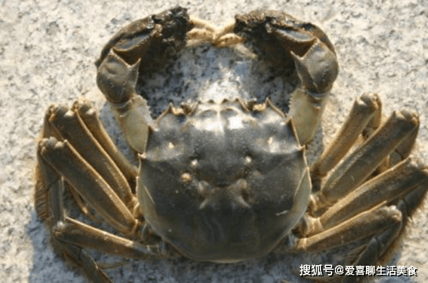 茄子吃了对身体好不好_茄子吃吃有什么好处_