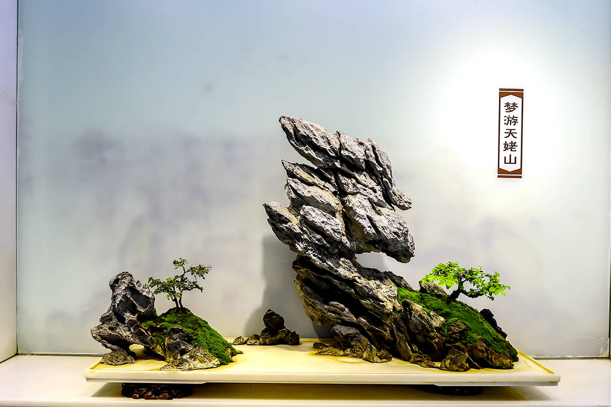 靖江西郊盆景园 方寸陶盆容万里山河