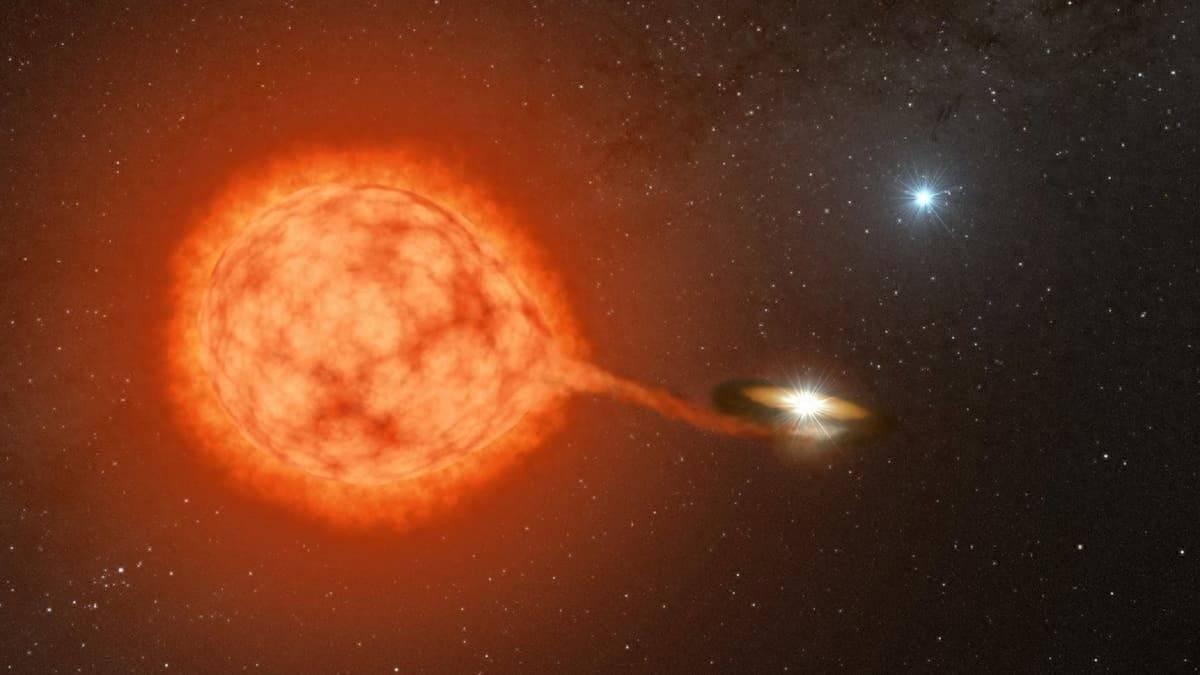 是“电灯泡”还是媒人？遥远恒星或助燃爆炸性白矮星双星组合