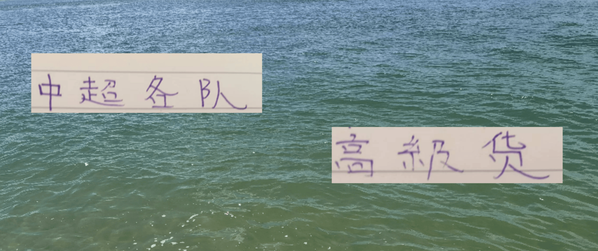 2025中超夏窗引援盘点：各队豪购国脚级强援，国安与蓉城蓄势待发