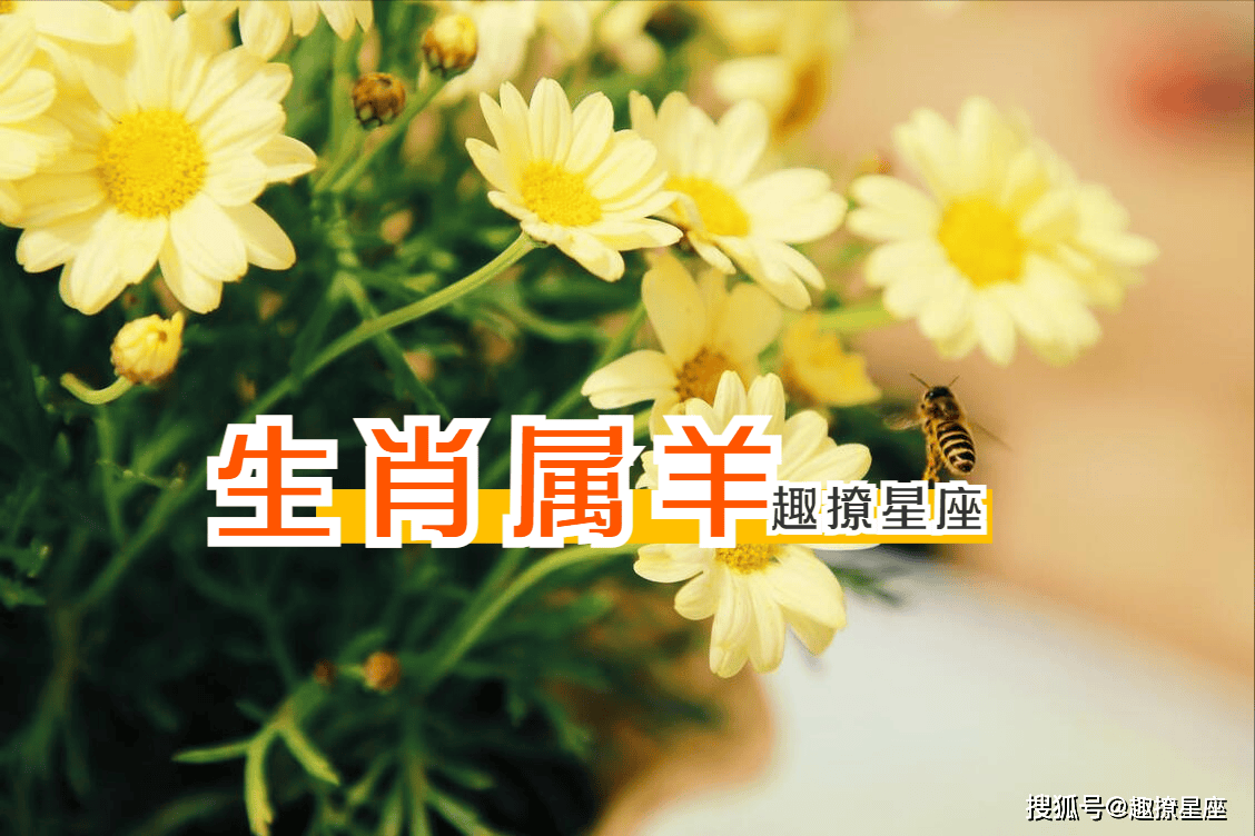 7月26日生肖运势凶吉(2021年7月26日生肖)