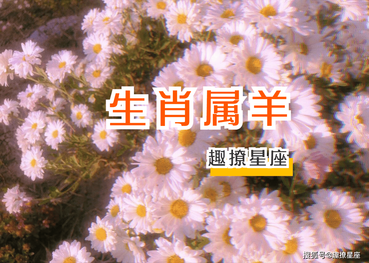 7月22日的生肖运势(7月22日的生肖运势是什么)