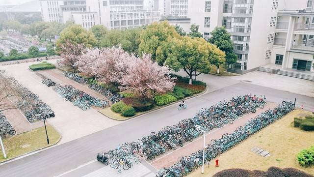 江苏高校排名_江南大学排名_江南大学食品科学