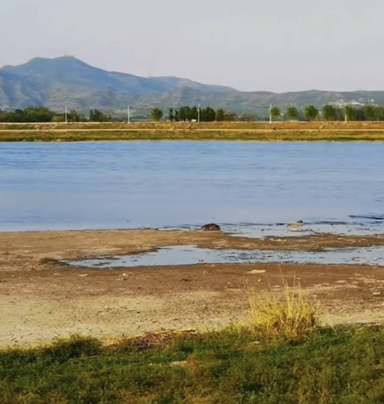 小众游玩地武安南洺湖风景这边独好