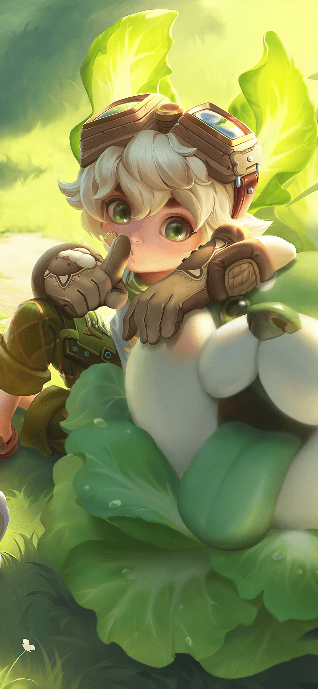 王者荣耀壁纸丨李元芳