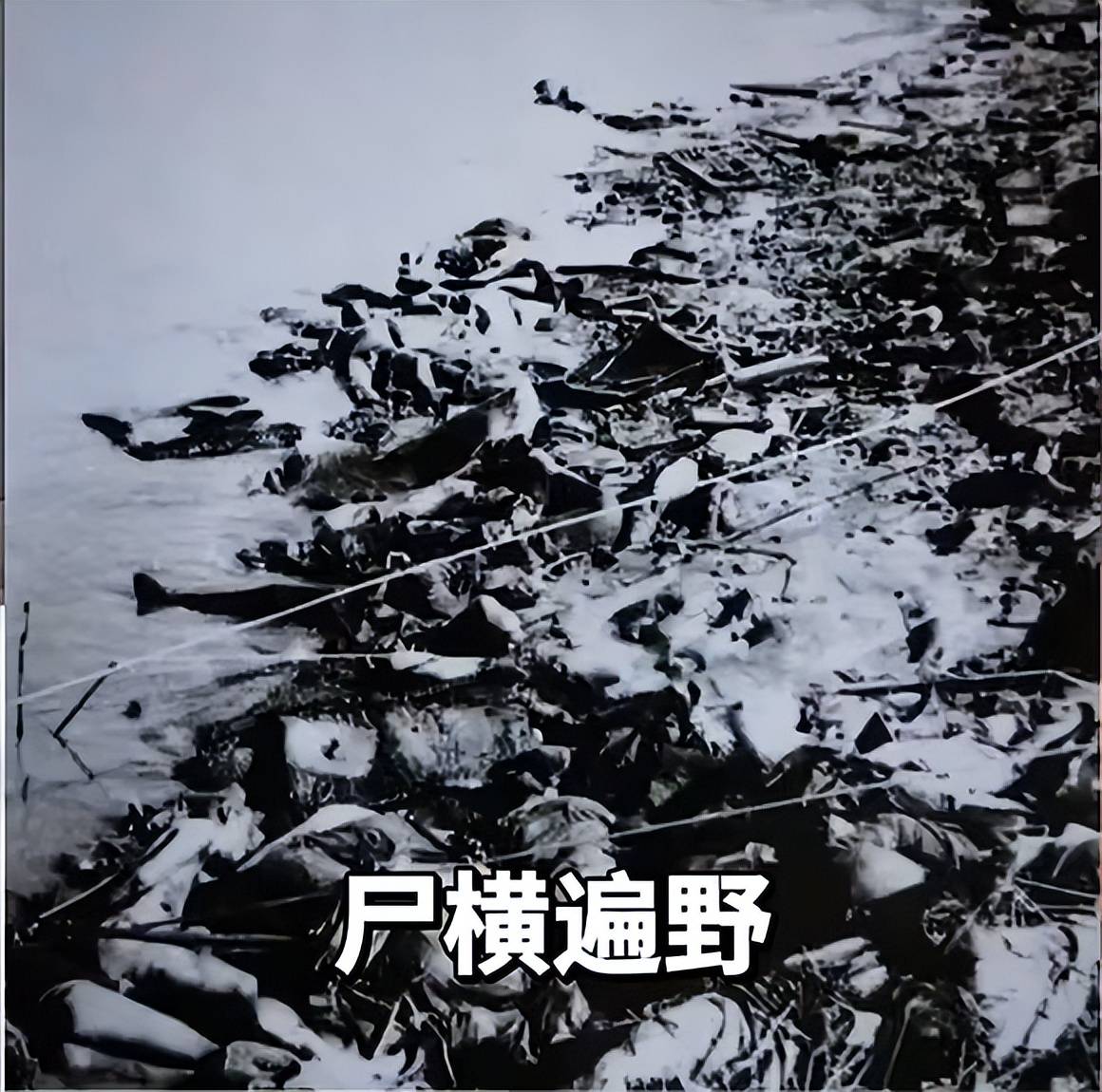 带儿子看完《南京照相馆》后,我们都泣不成声