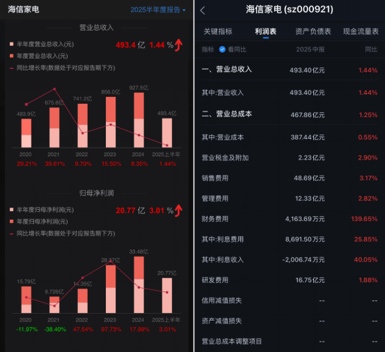 董事长高玉玲能将海信家电救回一线吗？