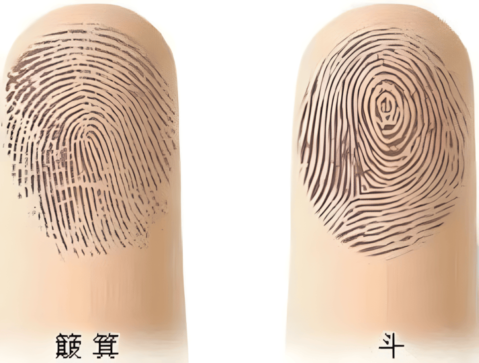 指纹_俗语_手指